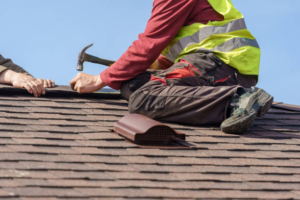 Roof Gutter Cleaning in Imlay City, MI