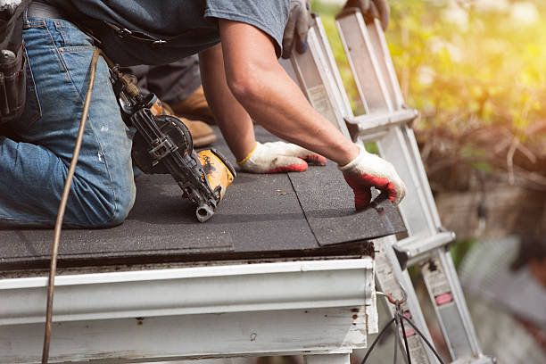 Best Storm Damage Roof Repair  in Imlay City, MI